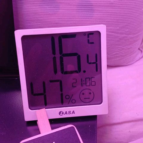 Nr 4 growlog timeline photo