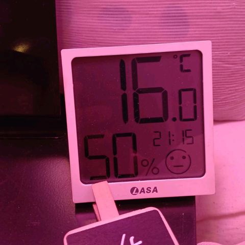 Nr 4 growlog timeline photo