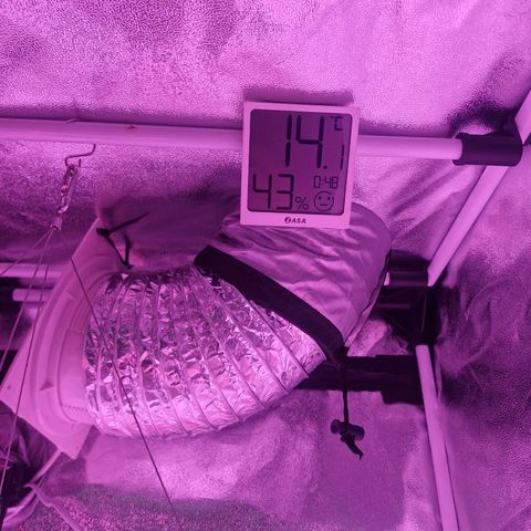 Nr 4 growlog timeline photo