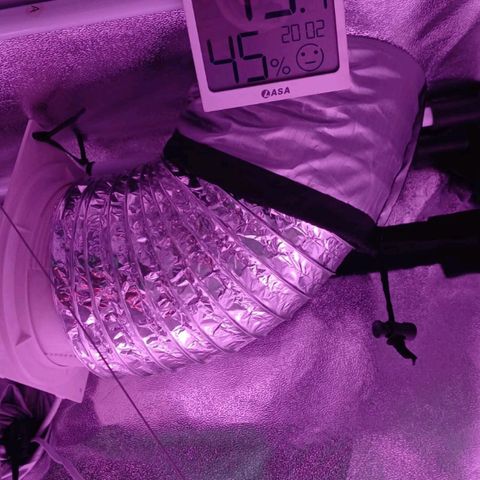 Nr 4 growlog timeline photo