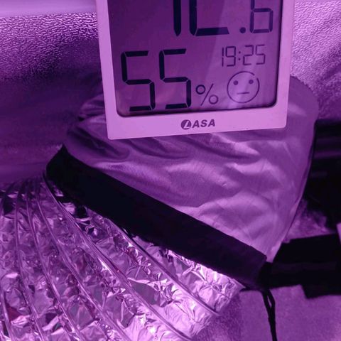 Nr 4 growlog timeline photo