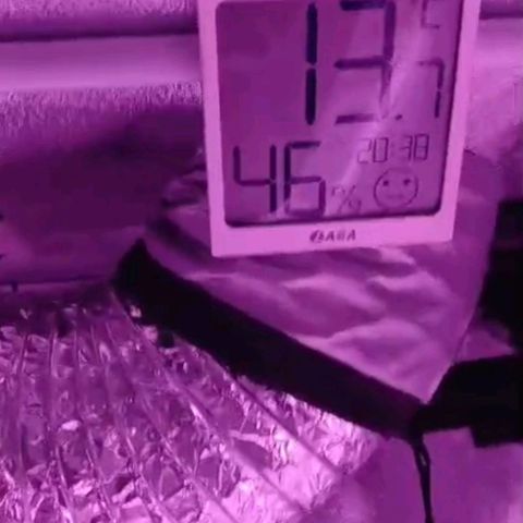 Nr 4 growlog timeline photo