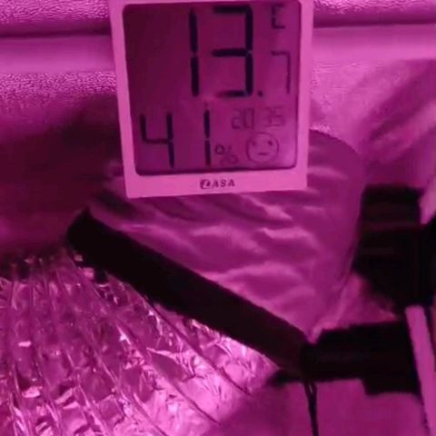 Nr 4 growlog timeline photo
