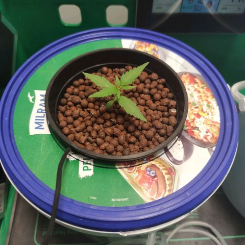 F1 Titan growlog timeline photo