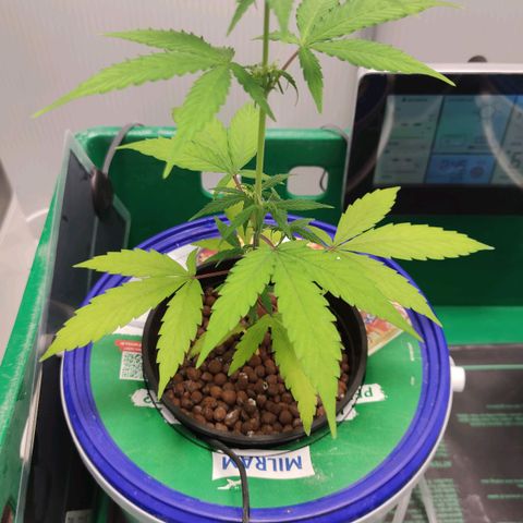 F1 Titan growlog timeline photo