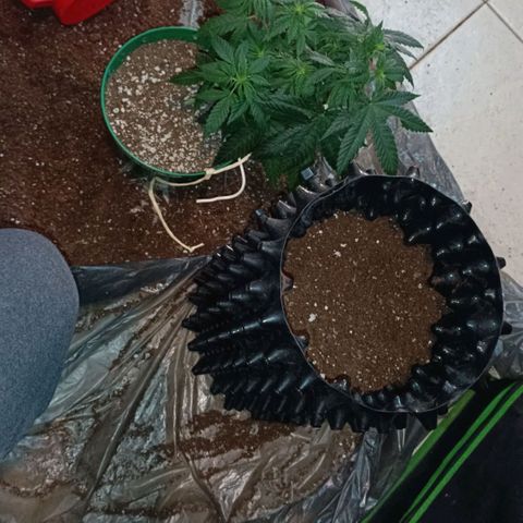 Critical K2 growlog timeline photo