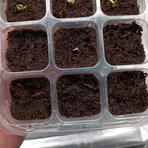 Unbekannte Sorte growlog timeline photo