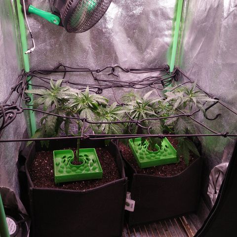 Jack 47 F1 Fast Version growlog timeline photo