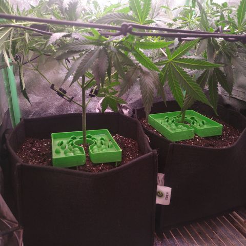 Jack 47 F1 Fast Version growlog timeline photo