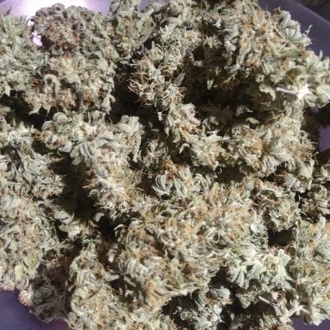 Think Fast growlog timeline photo