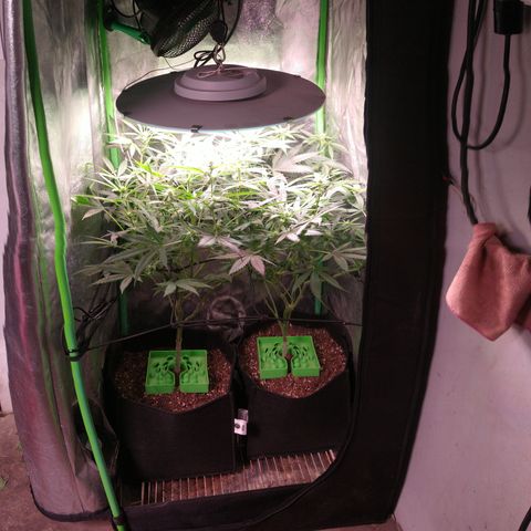 Jack 47 F1 Fast Version growlog timeline photo