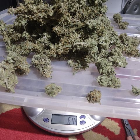 Jack 47 F1 Fast Version growlog timeline photo