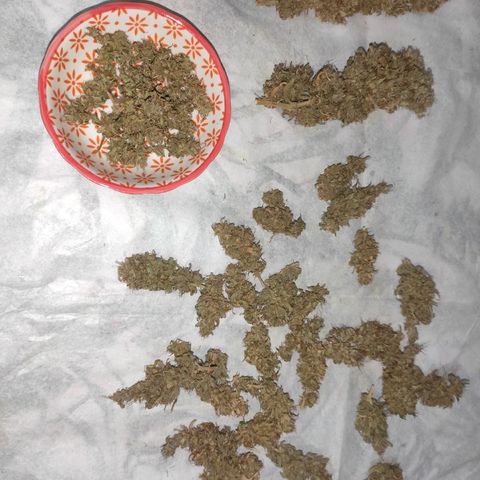 Mohan Thai growlog timeline photo