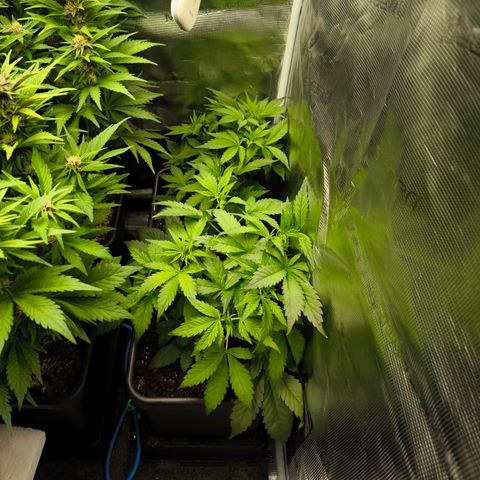 Geilteil growlog timeline photo