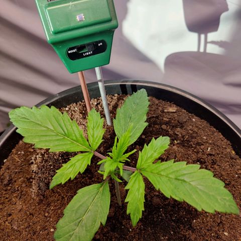 Smokey Joe Mark II growlog timeline photo