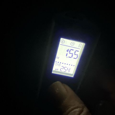GG#4  growlog photo: Ph plot 