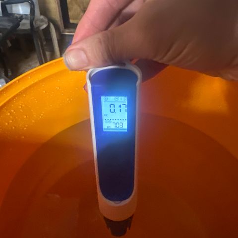 GG#4  growlog photo: Water 