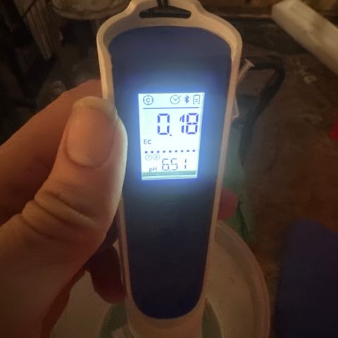 GG#4  growlog photo: Fasilator 4.5ml