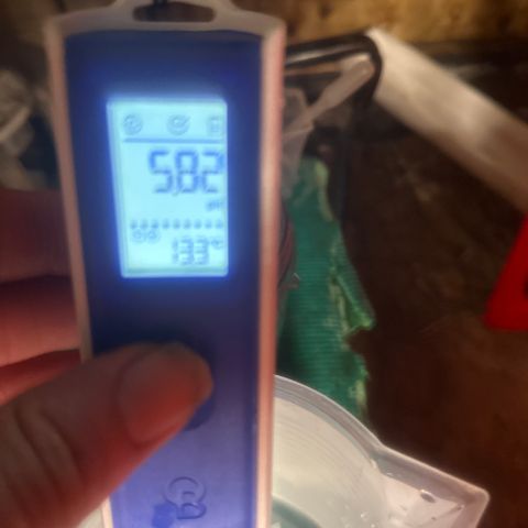 GG#4  growlog timeline photo