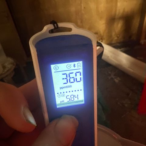 GG#4  growlog timeline photo
