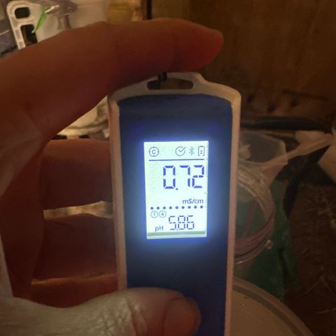 GG#4  growlog timeline photo