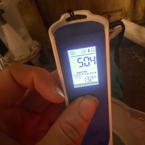 GG#4  growlog timeline photo