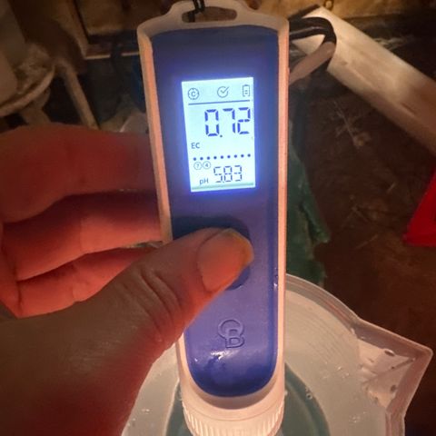 GG#4  growlog timeline photo