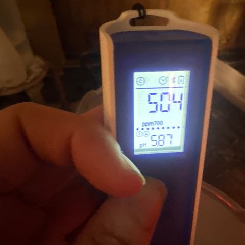 GG#4  growlog timeline photo