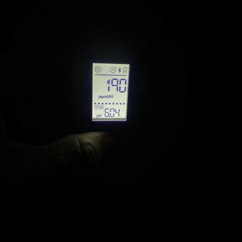 GG#4  growlog photo: Water after transplant ph down before addatives regen + wilt