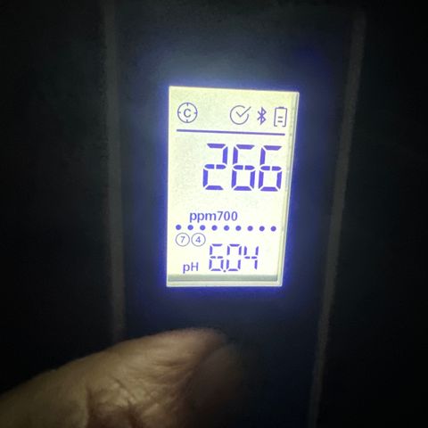 GG#4  growlog photo: Water after transplant ph down before addatives regen + wilt