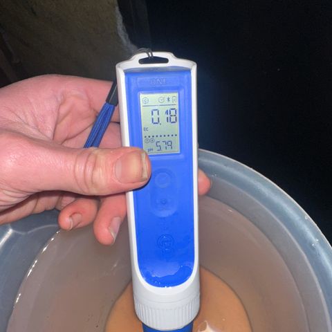 GG#4  growlog photo: Water after transplant ph down before addatives regen + wilt