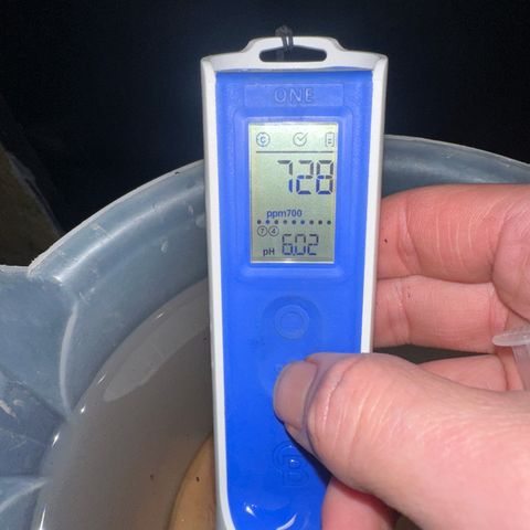 GG#4  growlog photo: Half dose wilt+regen(5L) + mighty growth ful dose bio blalance 1ml then added the rest of the wilt +regen for dwc add more bio for coco