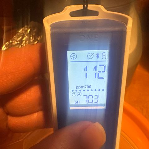 GG#4  growlog photo: Distilled water( Tongariro)