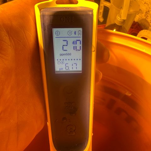 GG#4  growlog photo: Low nutrient solution after 2x H202 flush 
