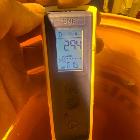 GG#4  growlog photo: Low nutrient solution after 2x H202 flush 