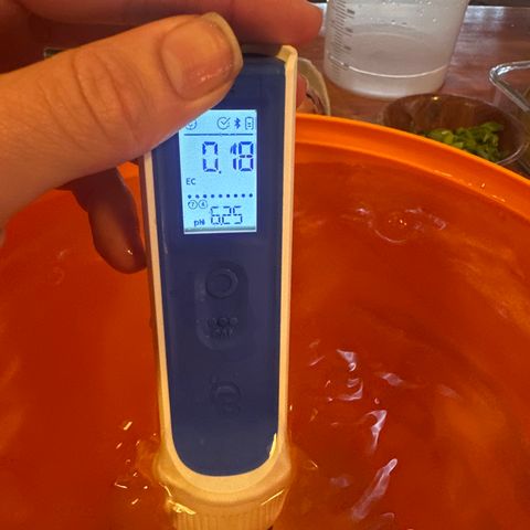 GG#4  growlog photo: Water solution with fasilitor 2.8ml/19L PH down-2 doses of 0.5ml
