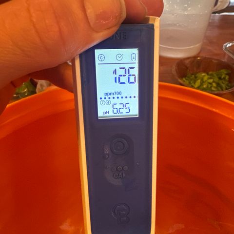 GG#4  growlog photo: Water solution with fasilitor 2.8ml/19L PH down-2 doses of 0.5ml