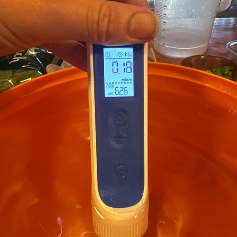 GG#4  growlog photo: Water solution with fasilitor 2.8ml/19L PH down-2 doses of 0.5ml