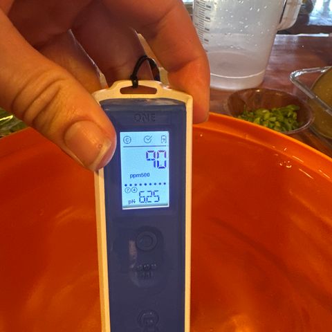 GG#4  growlog photo: Water solution with fasilitor 2.8ml/19L PH down-2 doses of 0.5ml
