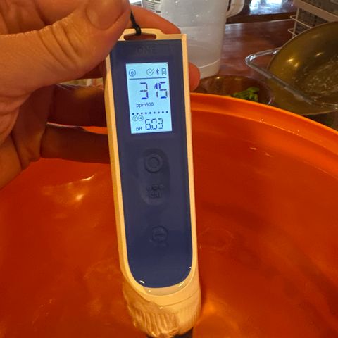 GG#4  growlog photo: Eve part B added after Adam 