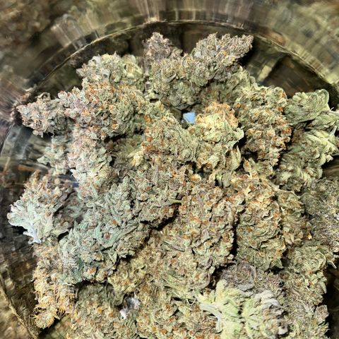 Wonder Pie growlog timeline photo