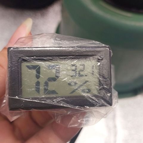 Amnésia da Cinderela  growlog photo: Temperatura alarmante. Borrifei água gelada nas laterais do grow pra aumentar umidade e diminuir a temperatura. Ela não apresentou nenhum sinal de irritação mas achei melhor previnir. 