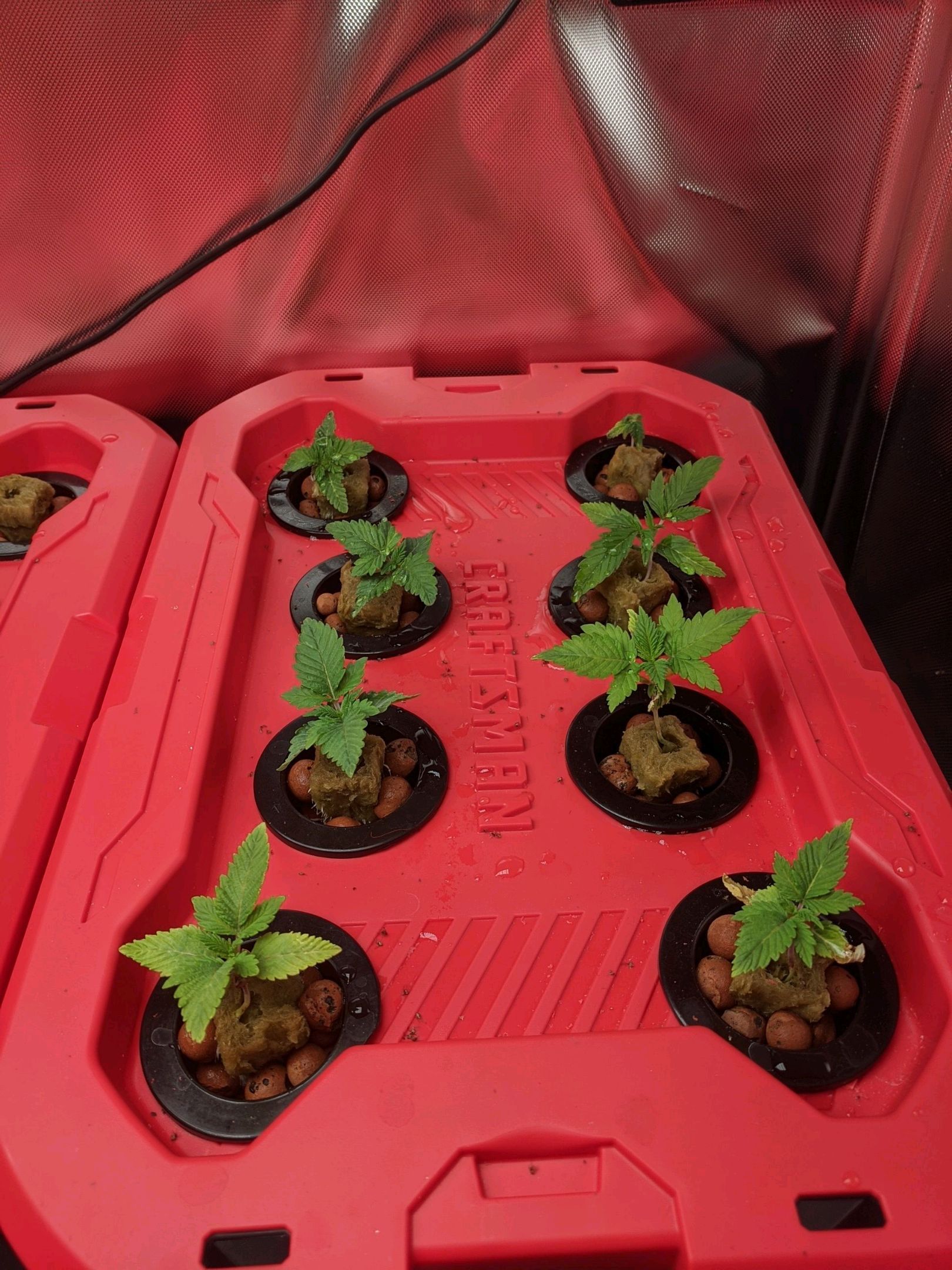 Bcn diesel x3 growlog header
