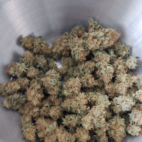 Speedy Chile growlog timeline photo