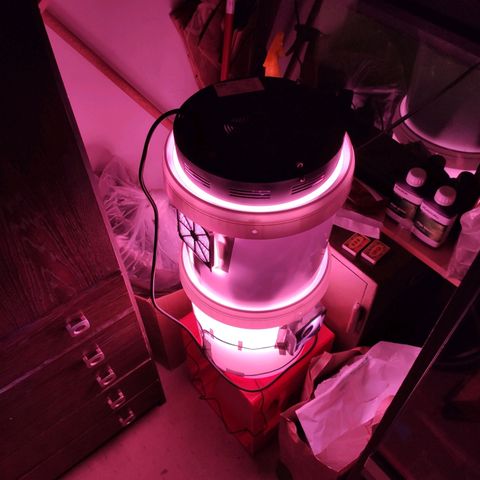 experiment#1 growlog timeline photo