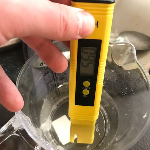 Pablo Escobar growlog photo: В торфяную таблетку долита вода с рутбустером. Окончательный Ph - 5.6. После ночи таблетка Бишкека была практически полностью сухая. 