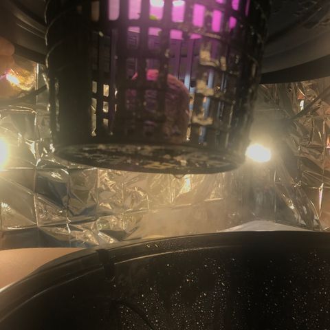 Pablo Escobar growlog timeline photo