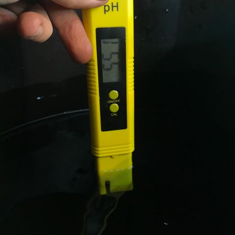 Pablo Escobar growlog timeline photo