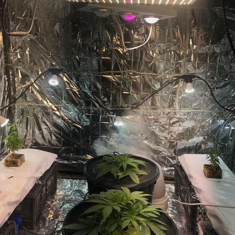 Pablo Escobar growlog photo: Подняты светильники 