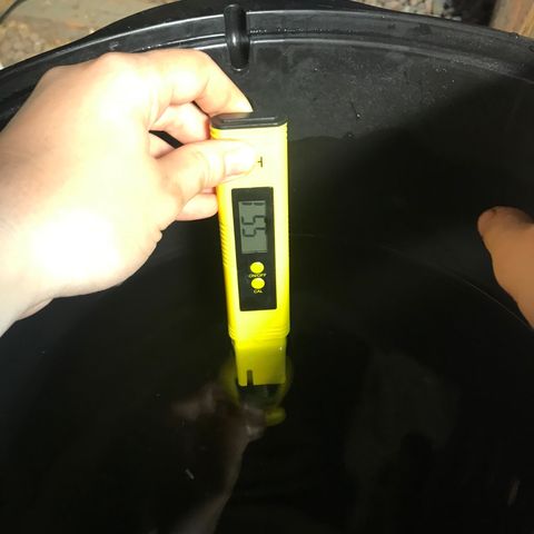 Pablo Escobar growlog timeline photo